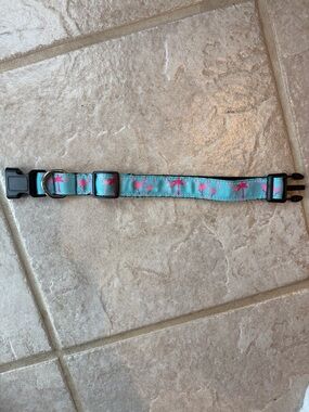 Colorful Adjustable Dog 🐕 Collar - Lightweight | Secure Buckle